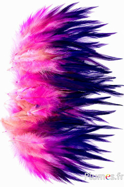 Haan Ombré - gebleekt - 10-15 cm - crème-bruin-paars